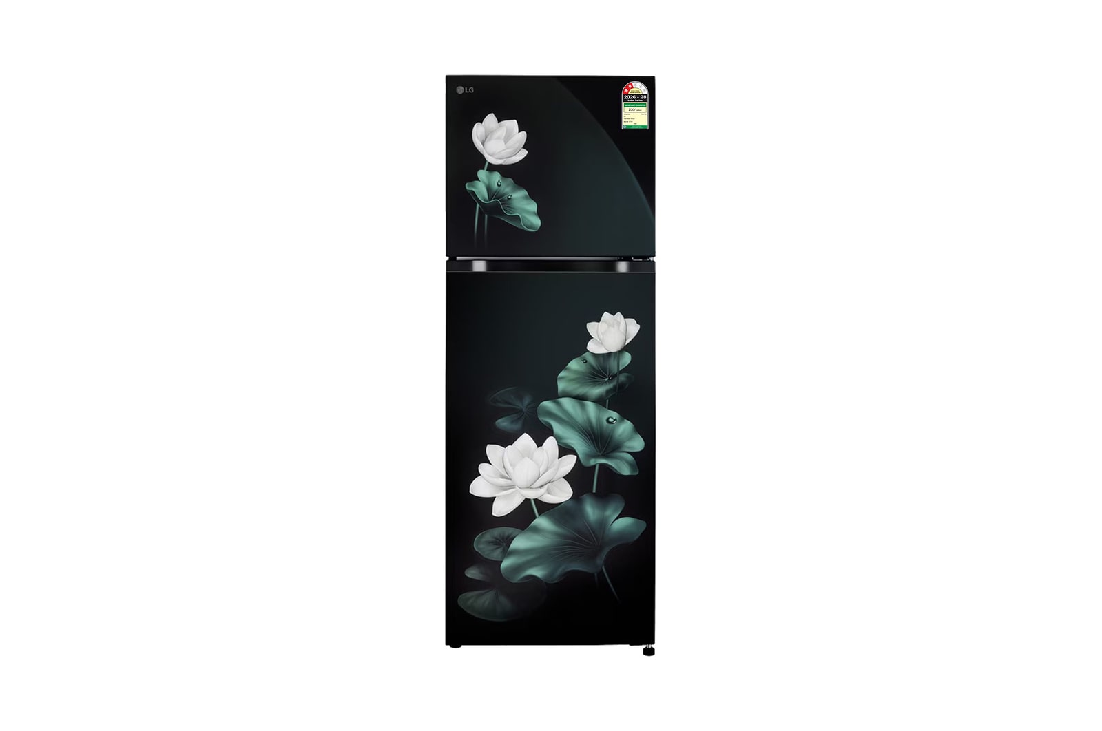 LG 251L Double Door Refrigerator, Convertible, Auto Smart Connect, Smart Inverter Compressor, Multi Air Flow, Emerald Lotus, 2 Star