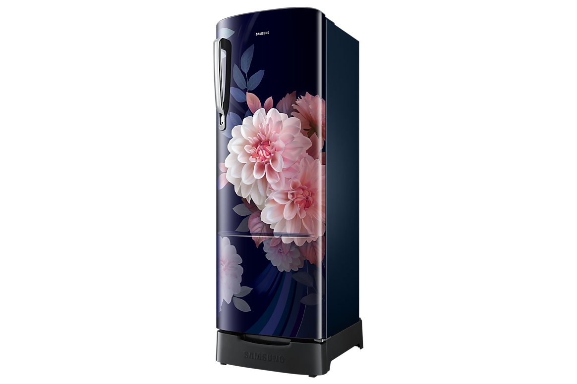 246 L Single Door Refrigerator with Stylish Grandé Design, 2★ RR26H3832BB