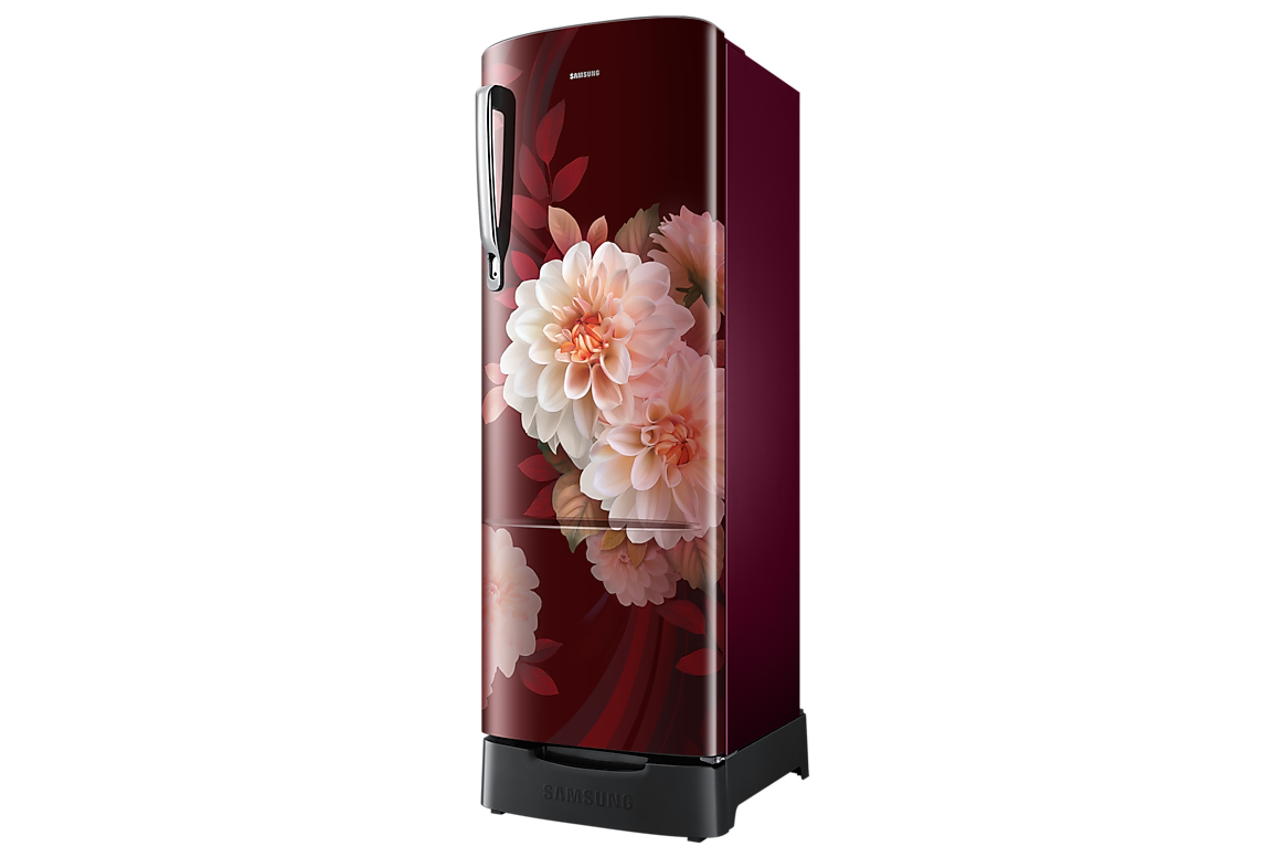 246 L Single Door Refrigerator with Stylish Grandé Design, 2★ RR26H3832BR