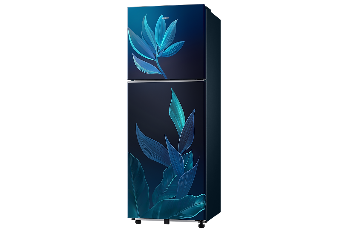 236 L Double Door Refrigerator with Convertible Freezer, 2★ RT40H28U2PB