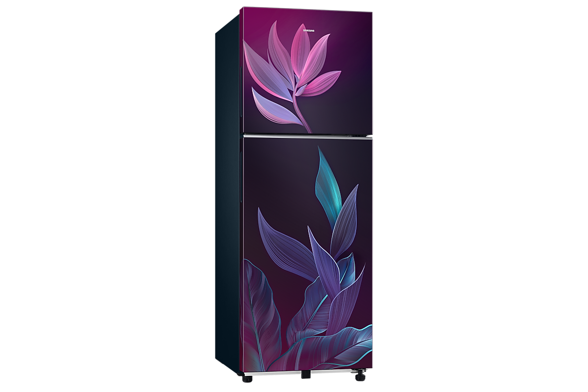 236 L Double Door Refrigerator with Convertible Freezer, 2★ RT40H28U2PR