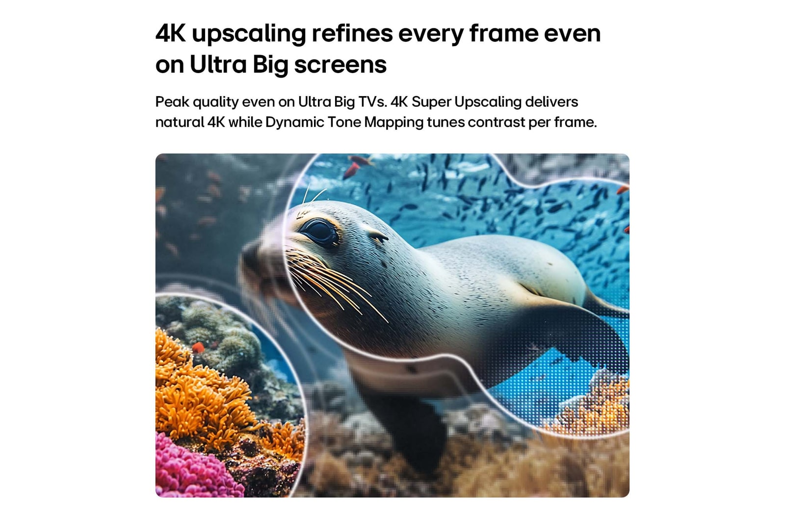 189 cm (75 inch) 4K AI Smart TV - 75NU880BPLA: Product feature