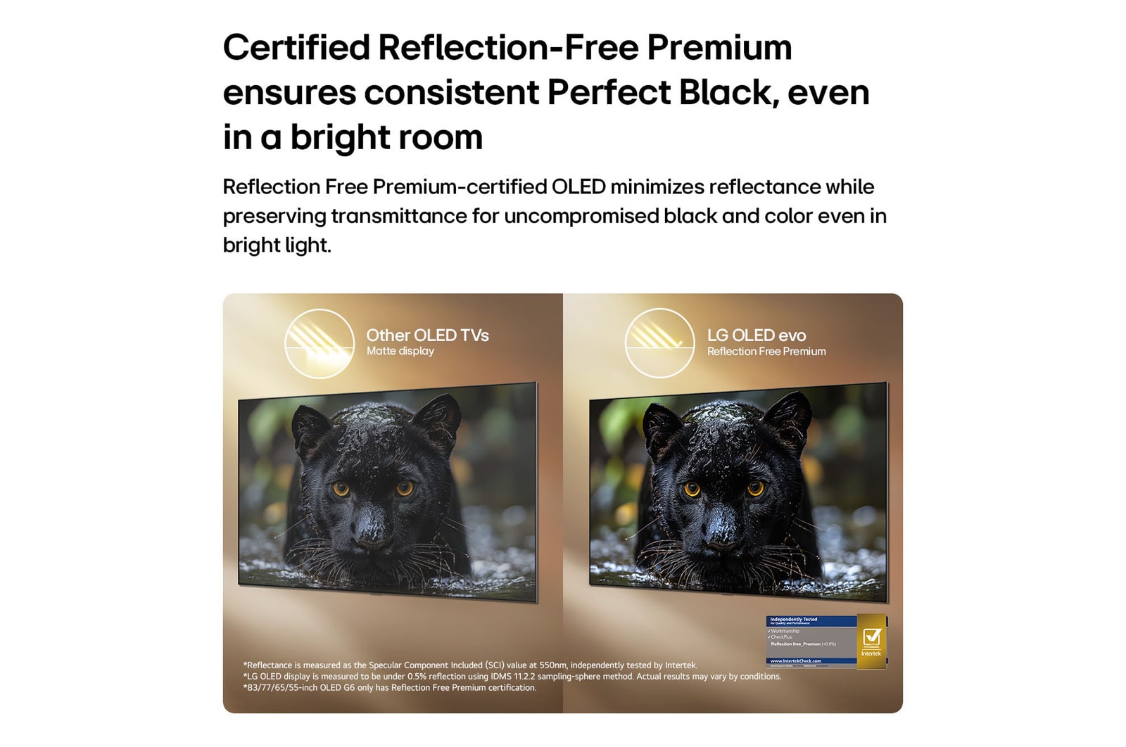164 cm (65 inch) AI Smart TV Price - OLED65G6PLA: Product feature