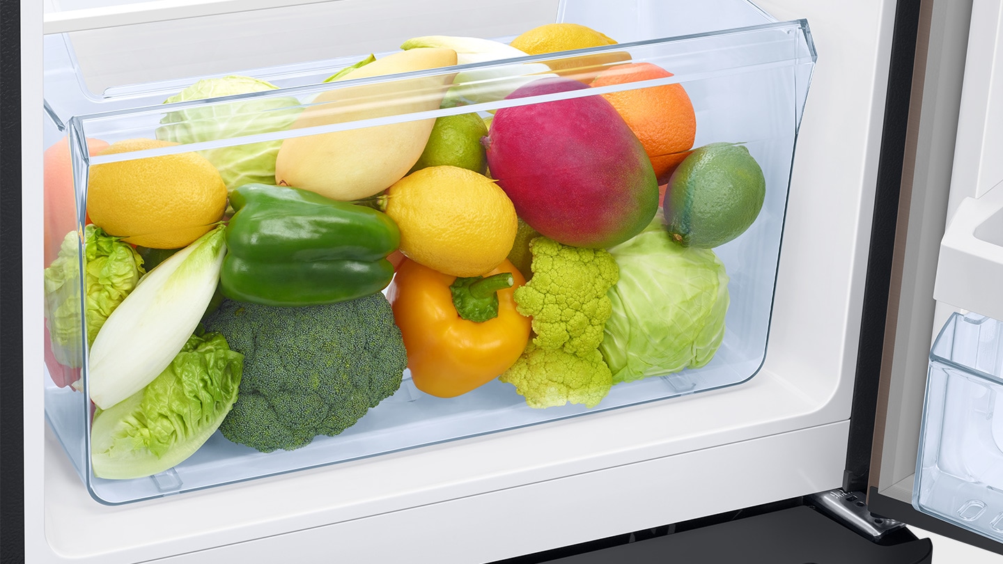 189 L Single Door Refrigerator with Horizontal Curve Design, Blue - catalogue_feature_artwork