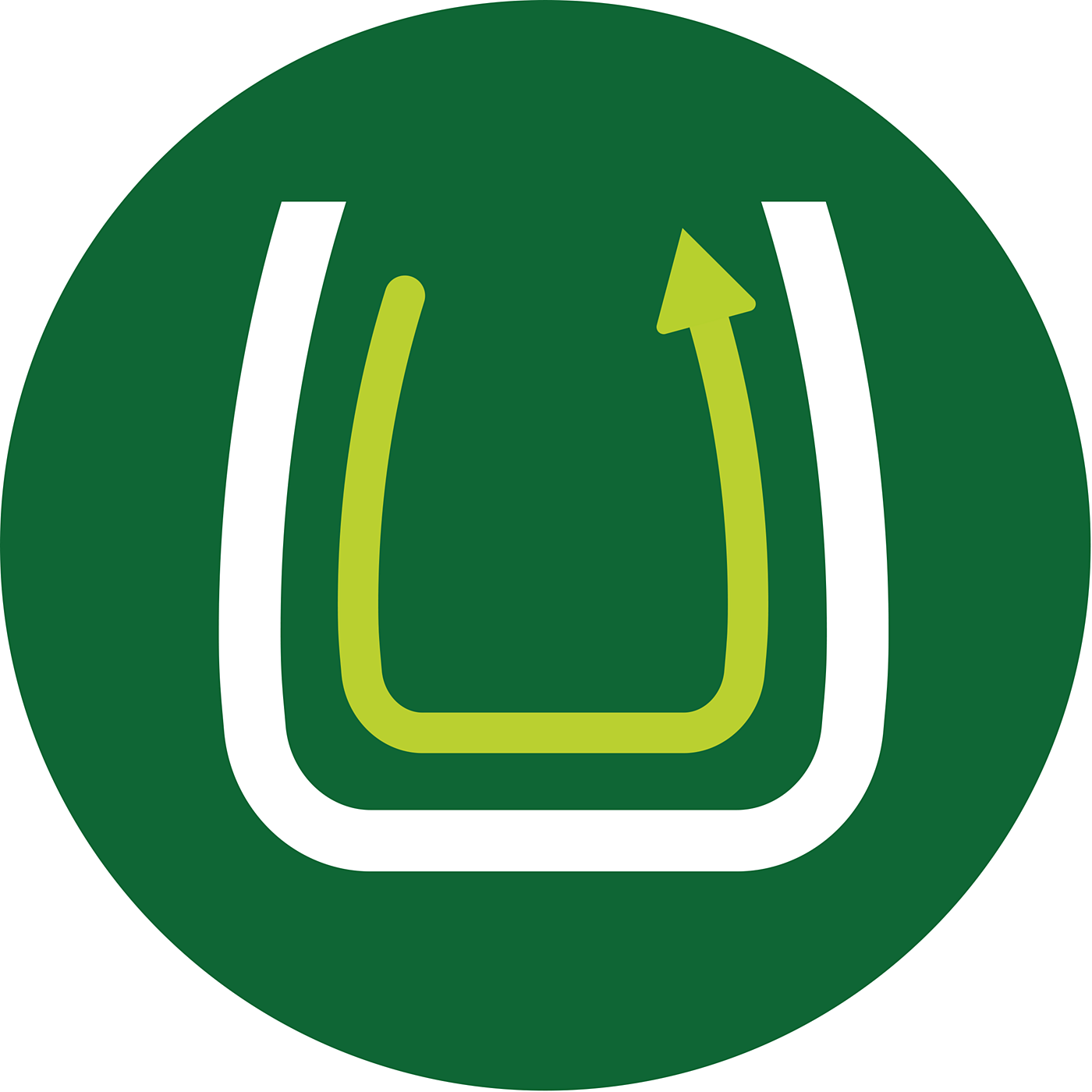 Daily Collection Juicer: Product feature