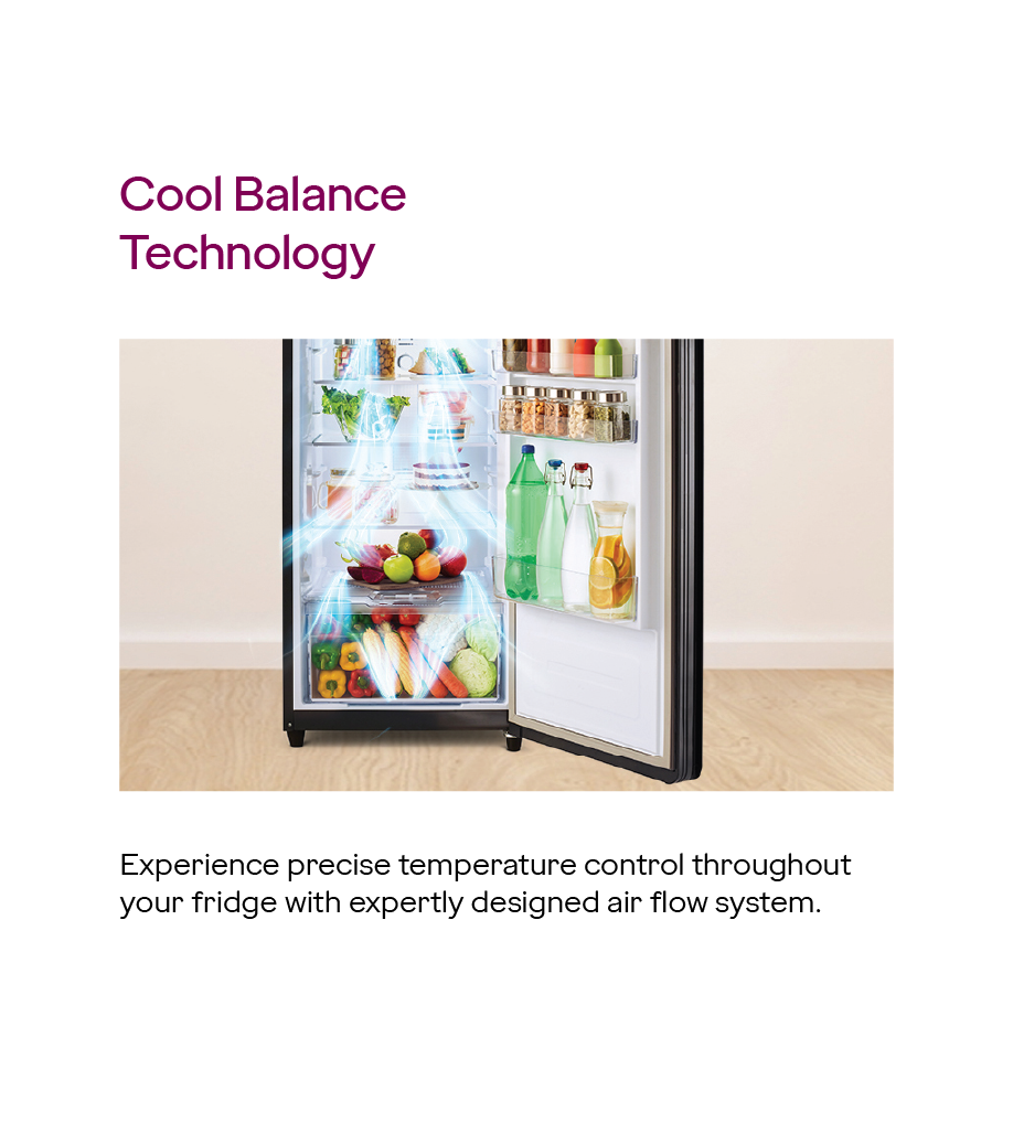 Eon Alpha - Frost Free 238 L 2 Star Steel Glow: Product feature