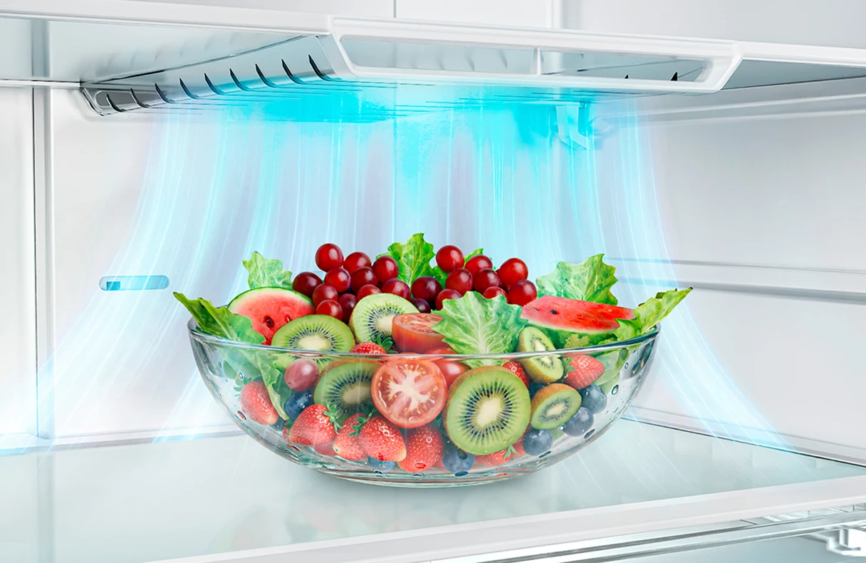 Eon Valor Convertible - Double Door Frost Free 244 Litre 2 Star Fossil Steel: Product feature