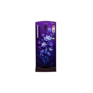 Lloyd GLDF273SOPB2LC 240L Direct Cool Single Door