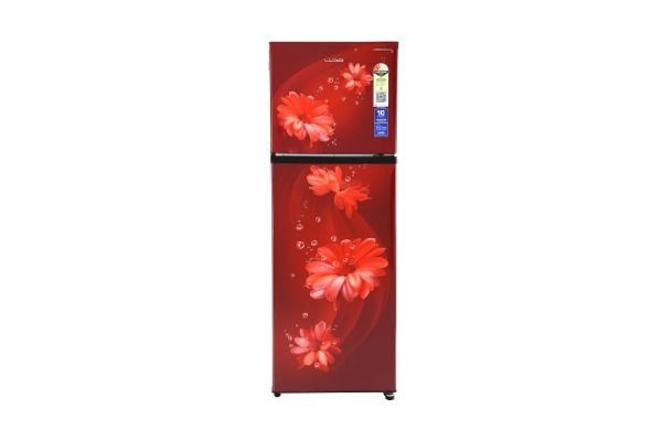 Lloyd GLFF292ADWC1GC 260L Frost Free Double Door