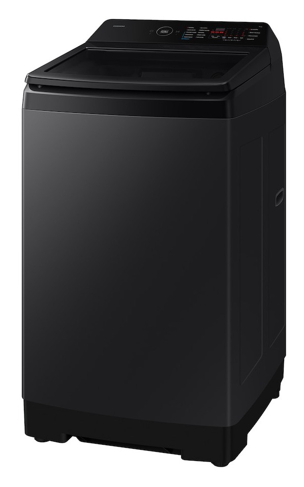 Samsung WA40F08H2BTL 8.0KG Fully Automatic Top Load Washing Machine