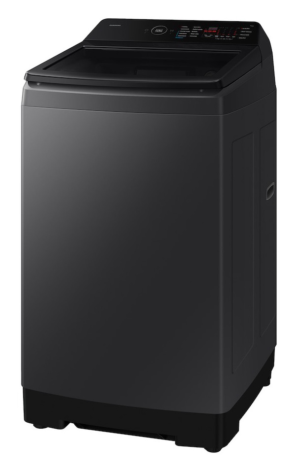 Samsung WA40F10H2CTL 10.0KG Fully Automatic Top Load Washing Machine